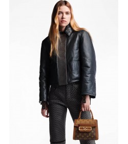 1V DAUPHINE CAPITALE Handbag (High Quality)