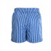 1V Monogram Striped Swim Shorts