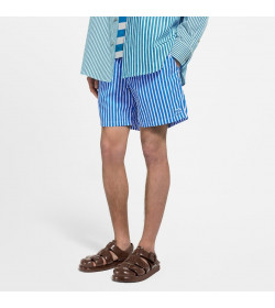 1V Monogram Striped Swim Shorts
