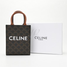 CELINE Mini Vertical Cabas in Triomphe Canvas and calfskin with Celine print