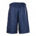 FD Bermudas Silk Shorts Blue