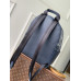 1V Discovery Backpack PM Monogram Shadow