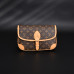 1V Diane PM Monogram 