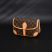 1V Diane PM Monogram 
