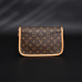1V Diane PM Monogram 