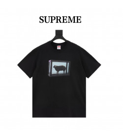 Supreme x Damien Hirst Tee