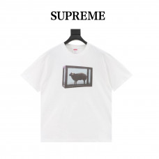 Supreme x Damien Hirst Tee