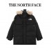 TNF Southern Cross Parka Down Jacket
