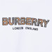 Burb*rry 26SS Check Letter Sleeve Crewneck Sweatshirt