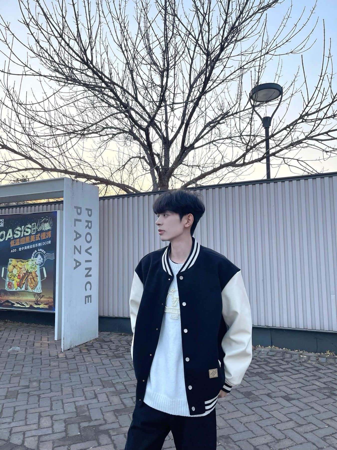 Louis Vuitton Monogram Lined Letterman Jacket